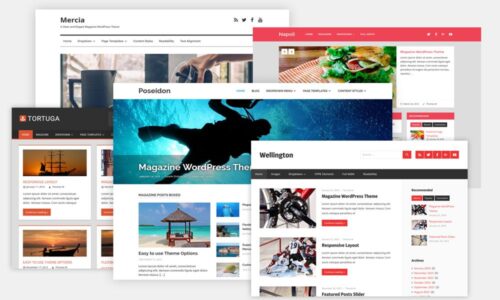 Επιλογή Θέματος WordPress